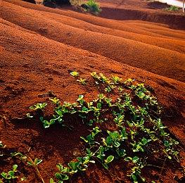 上线3天Steam好评率86%，《时间旅者：重生曙光》开启生存恐怖新篇章